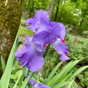 Meet your Posher, Kristy